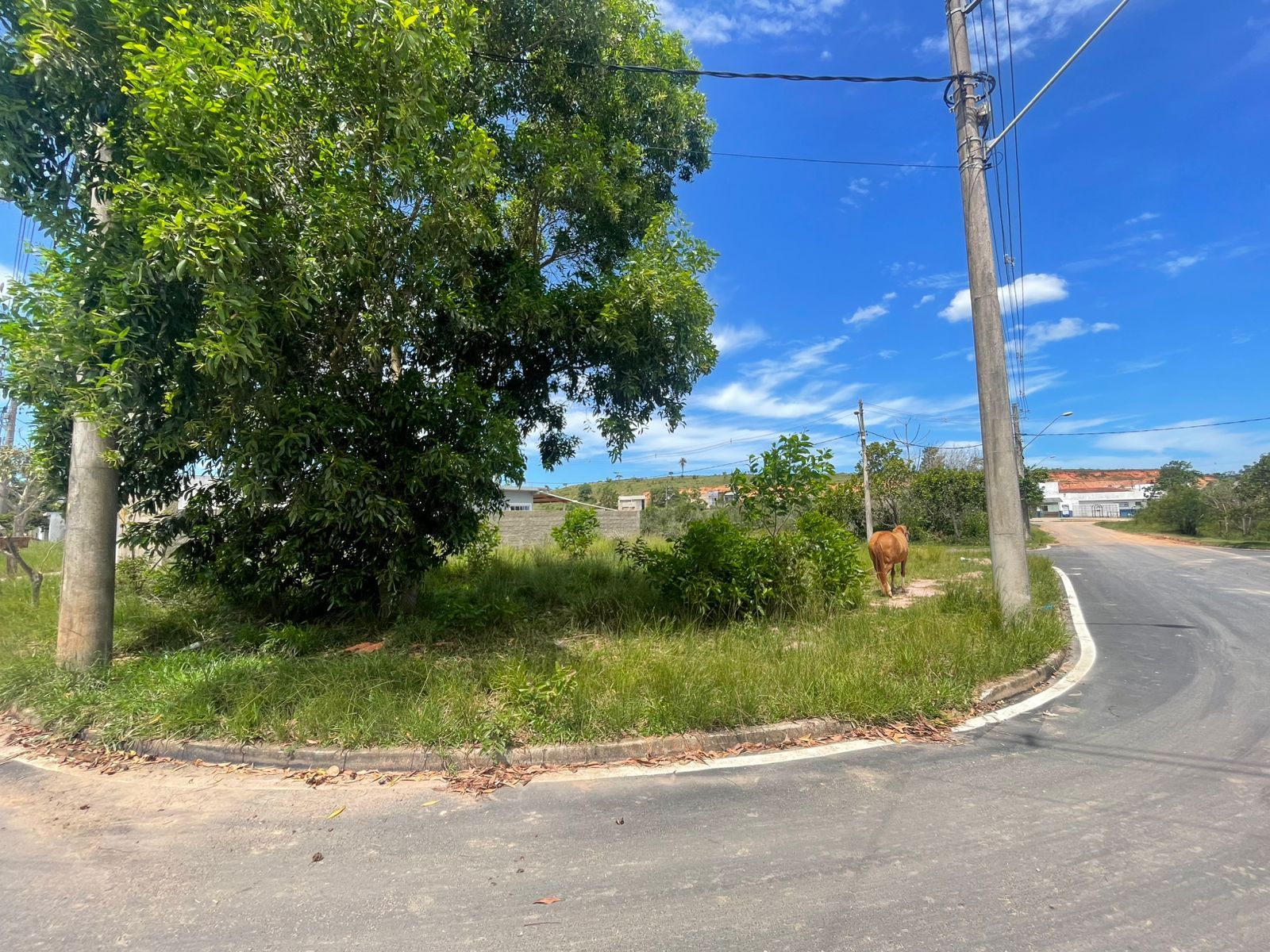 Terreno 292m² no Atlântico Norte – Macaé/RJ